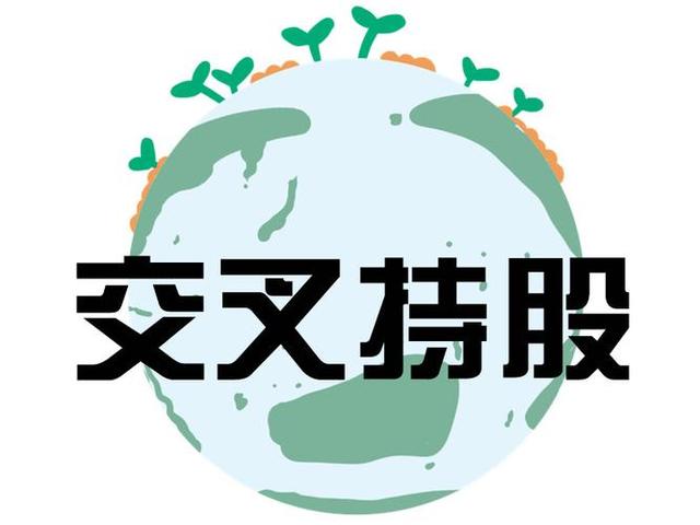 交叉持股安排设计(交叉持股怎么计算持股比例)文山市